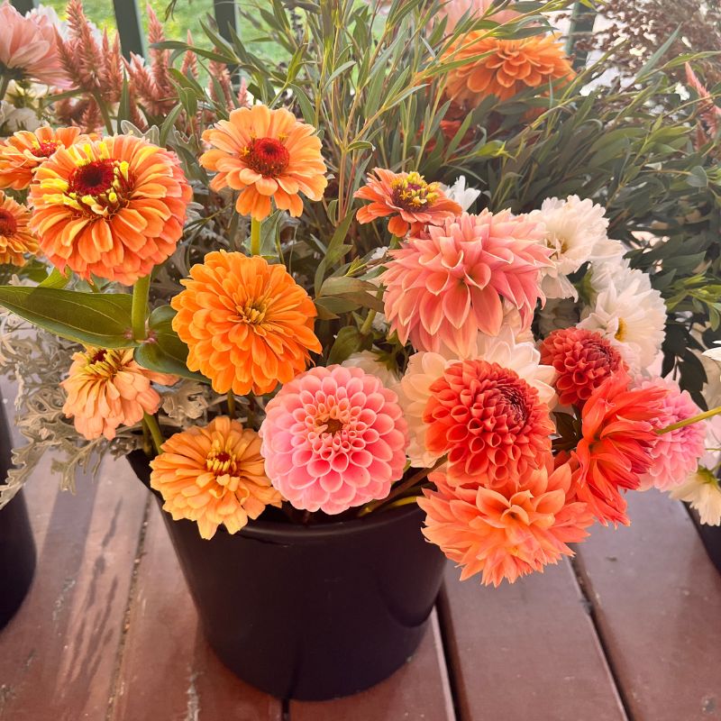 Bulk wedding flowers grown in West Bend, Wisconsin